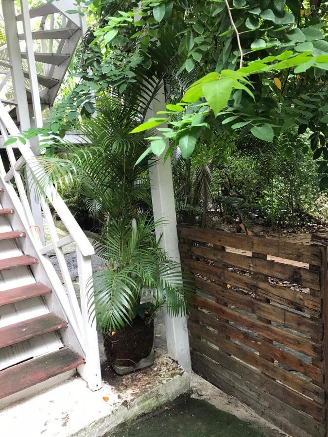 Morada Da Biquinha - Morro De Sao Paulo Apartman Kültér fotó